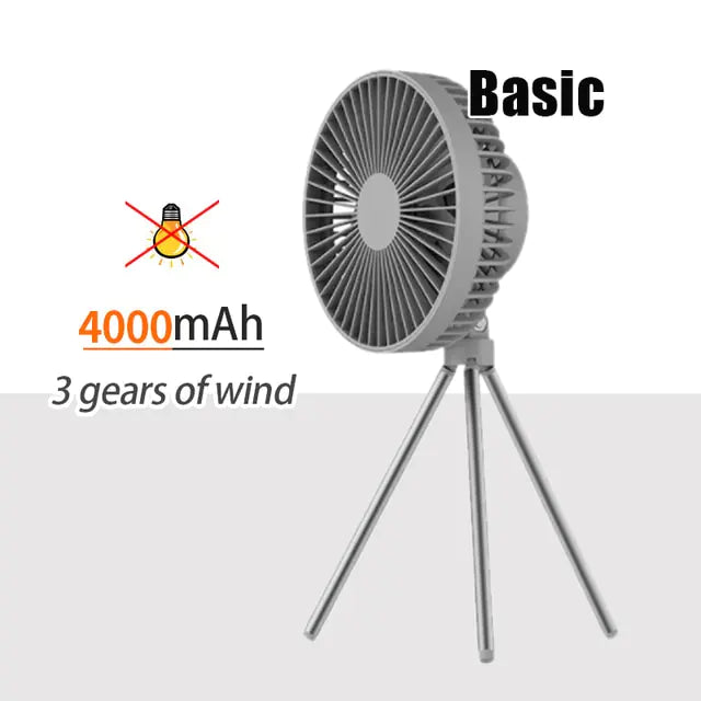 Portable Fan