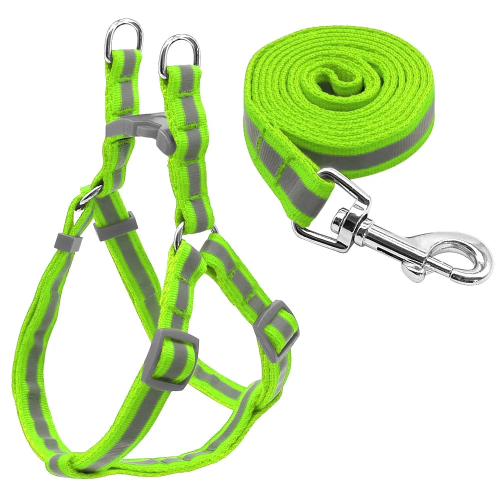 Dog Leash and Harness Set