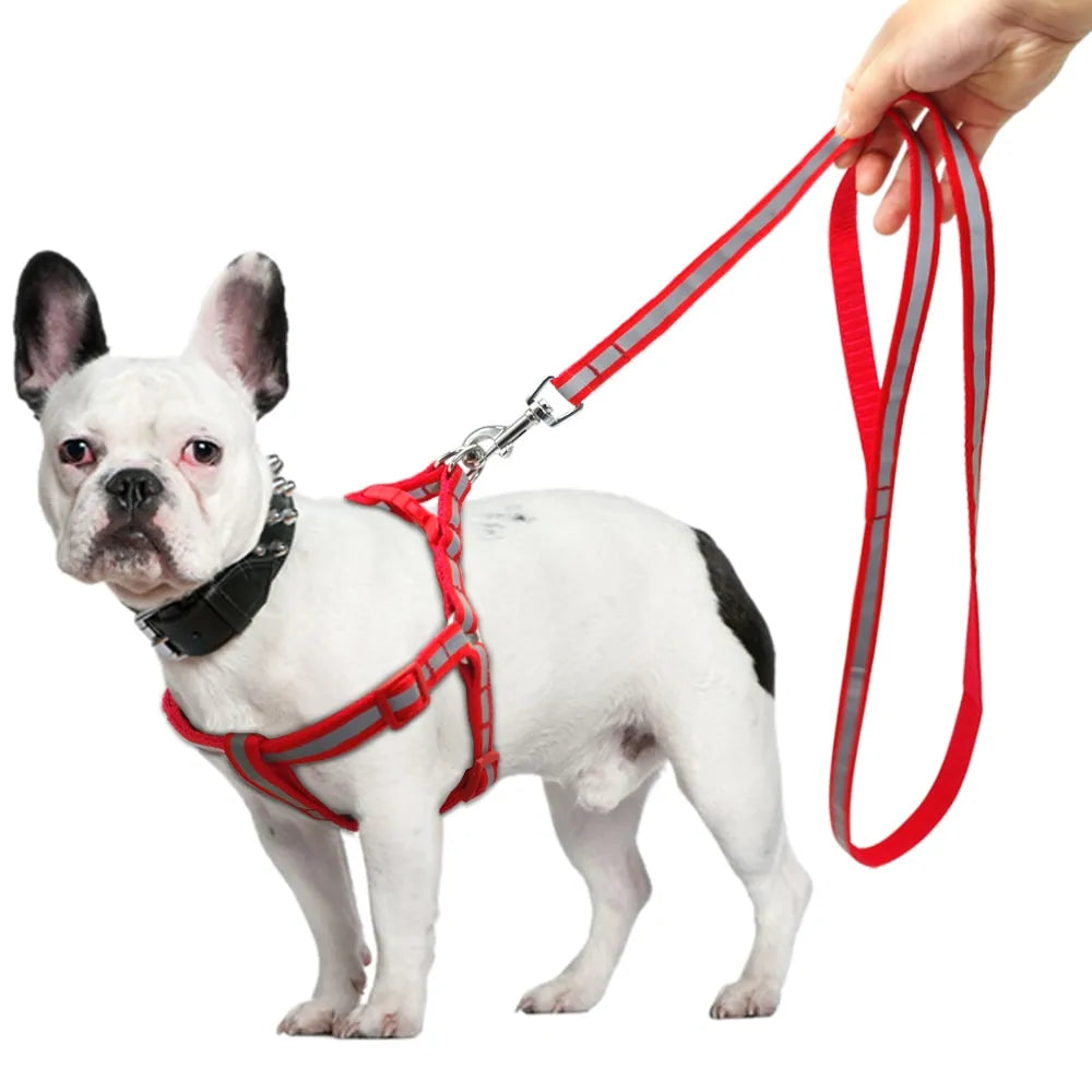 Dog Leash and Harness Set