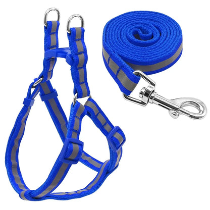 Dog Leash and Harness Set