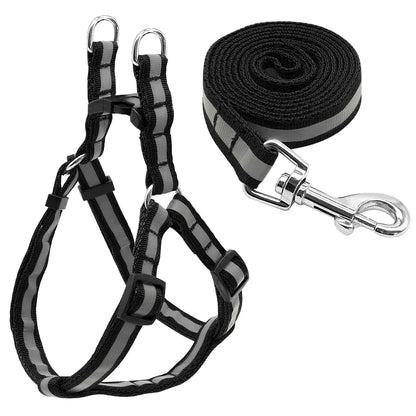 Dog Leash and Harness Set