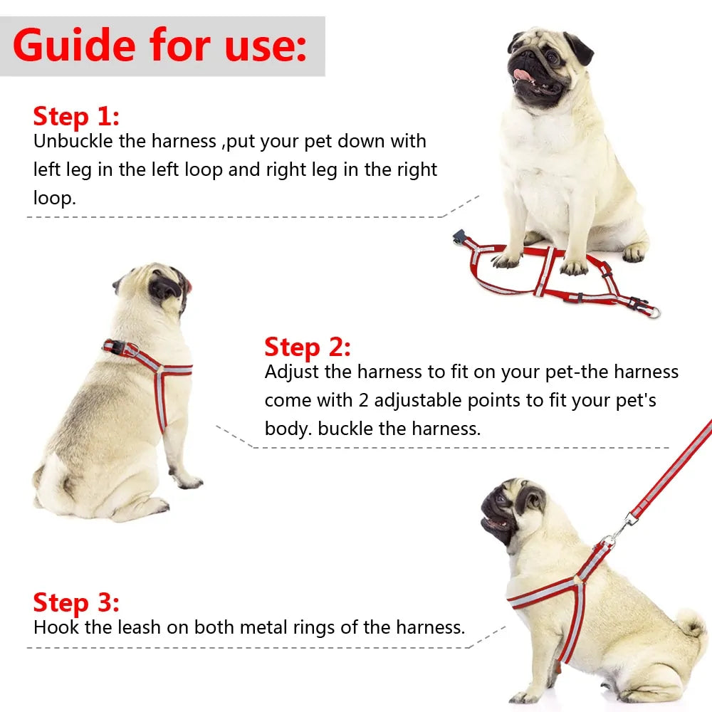 Dog Leash and Harness Set