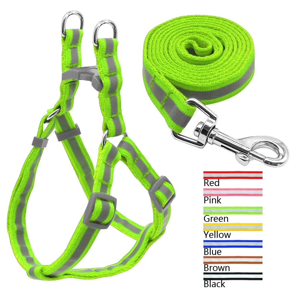 Dog Leash and Harness Set