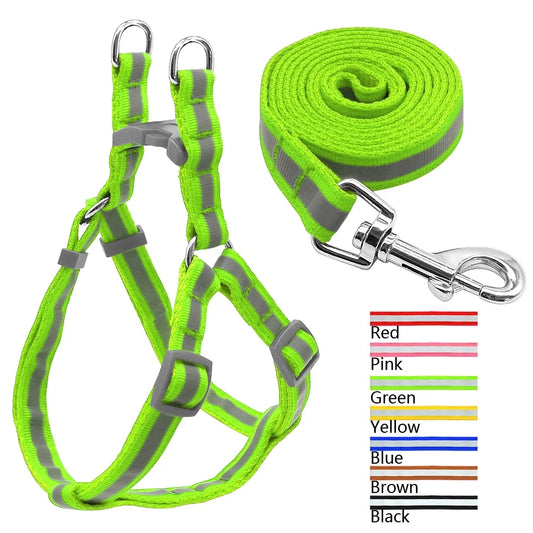 Dog Leash and Harness Set