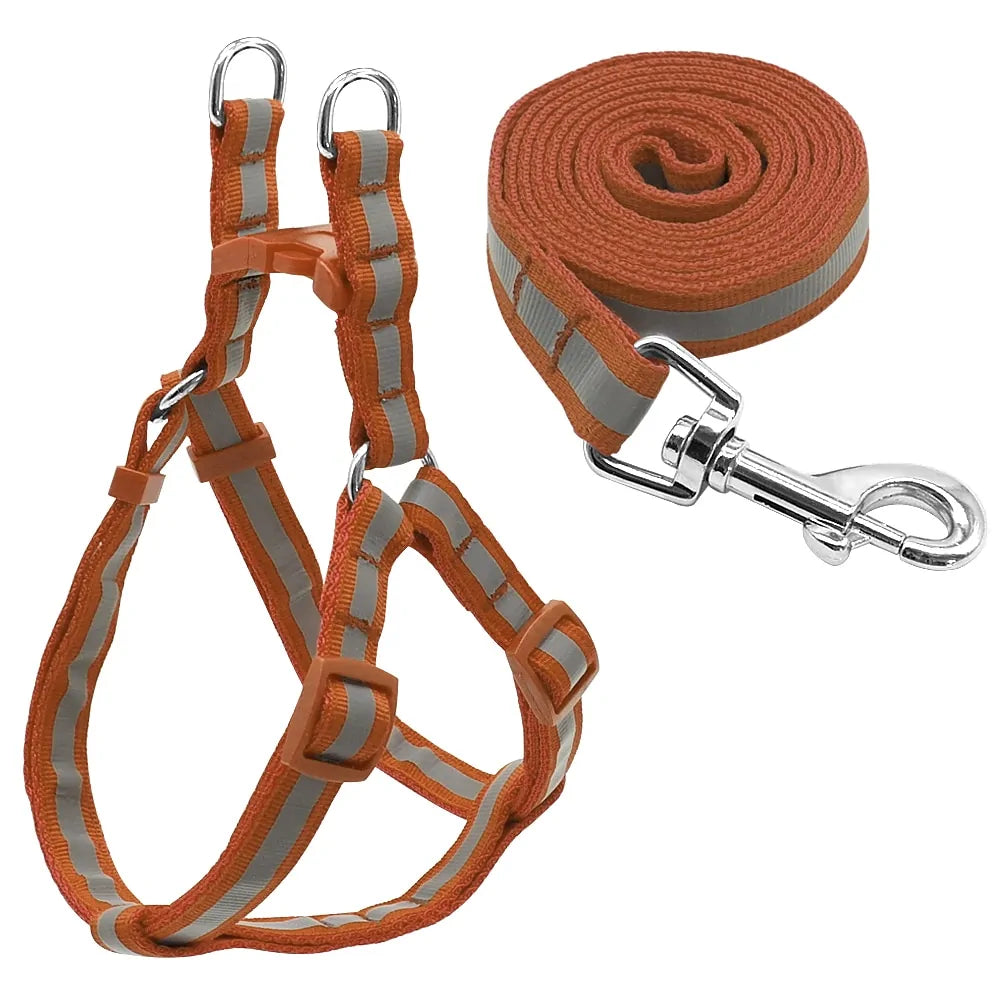 Dog Leash and Harness Set