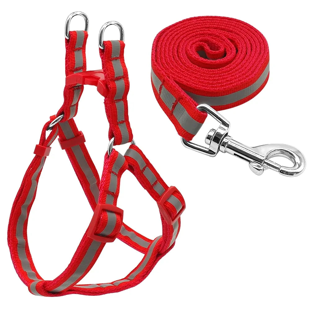 Dog Leash and Harness Set