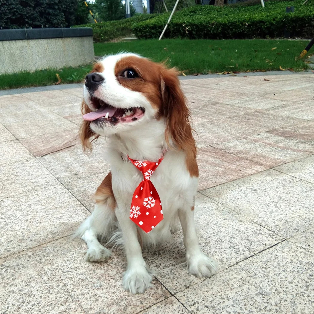 Christmas Dog Cat Tie