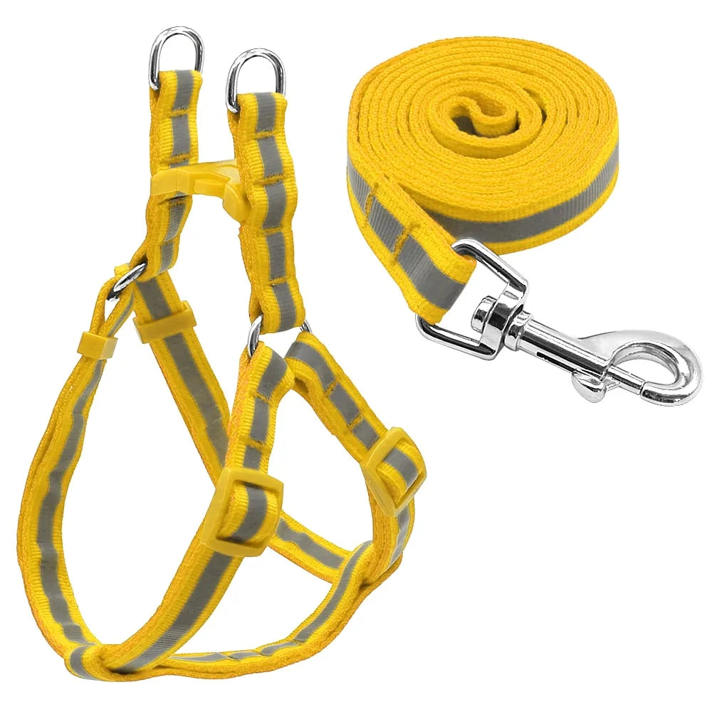 Dog Leash and Harness Set