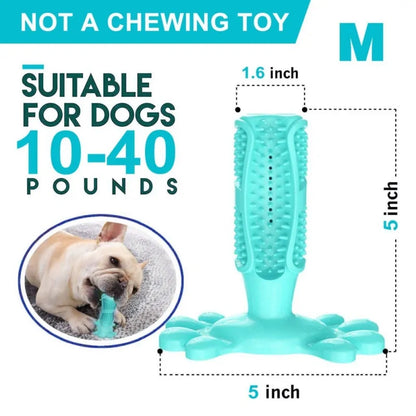 Toothbrush For Dog