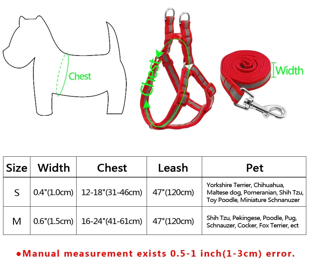 Dog Leash and Harness Set