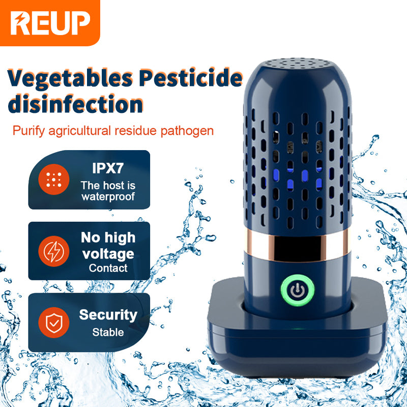 Vegetable Disinfection Machine